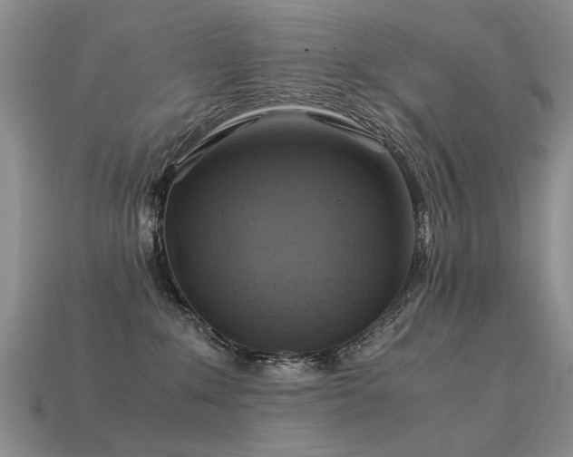 X0000113590235200909181338