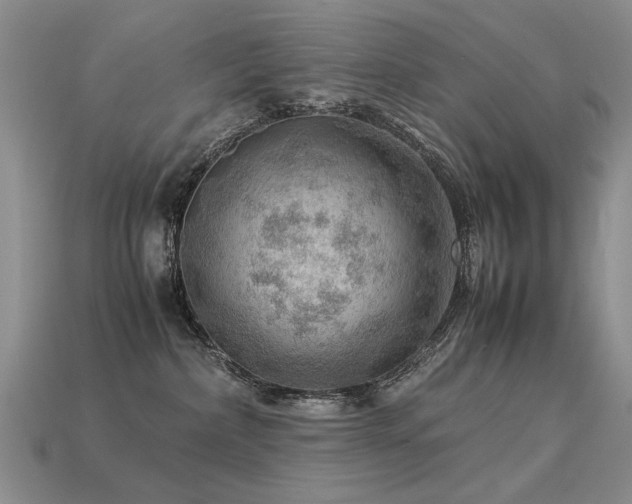 X0000113590236200909181338