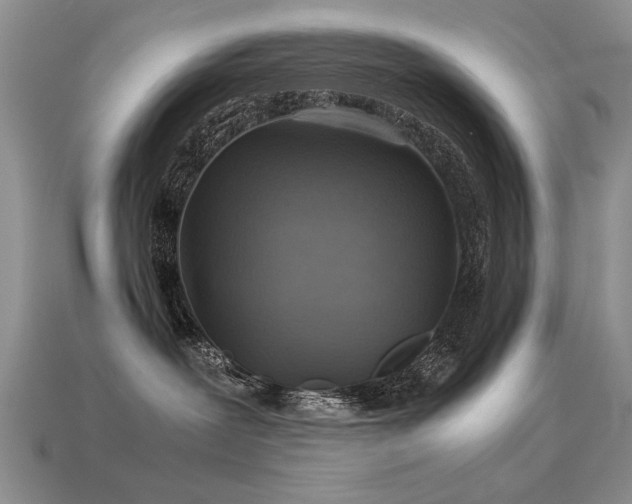 X0000113590239200909181338