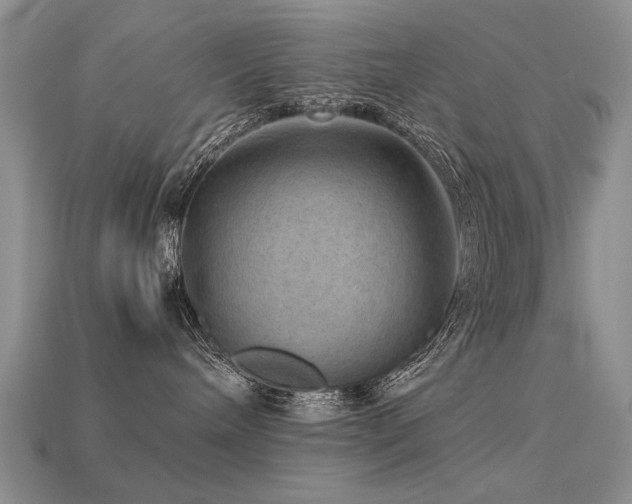 X0000113590240200909181338