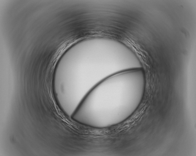 X0000113590241200909181337