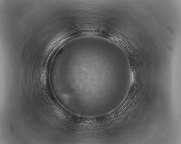 X0000113590243200909181337