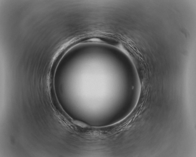 X0000113590244200909181337