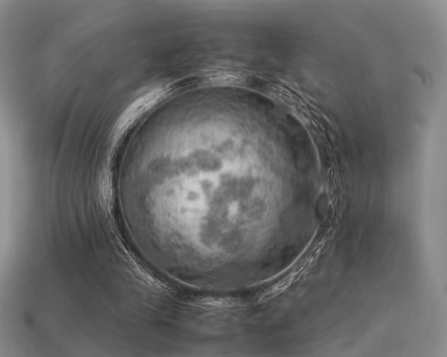 X0000113590245200909181337