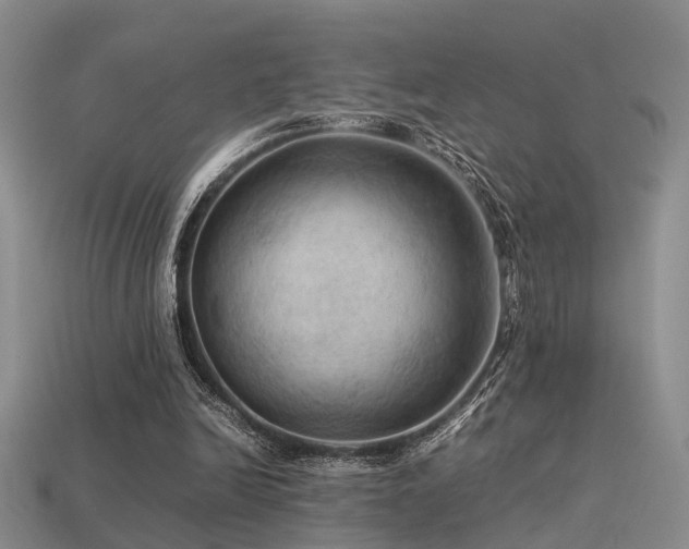 X0000113590246200909181337