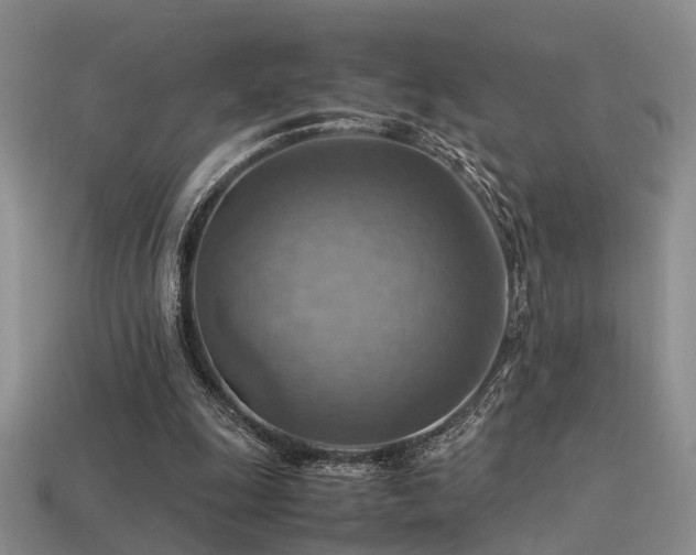 X0000113590247200909181337