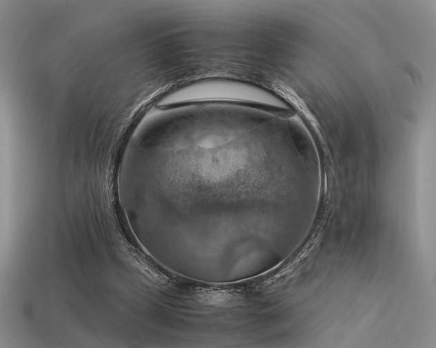 X0000113590249200909181337