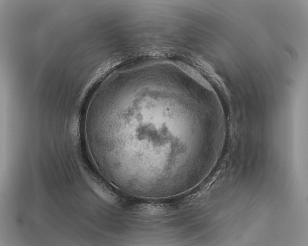 X0000113590250200909181337