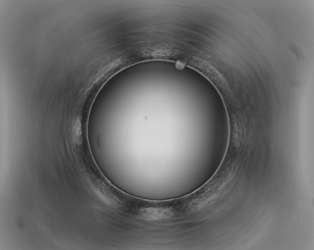 X0000113590251200909181337