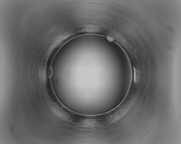 X0000113590252200909181337