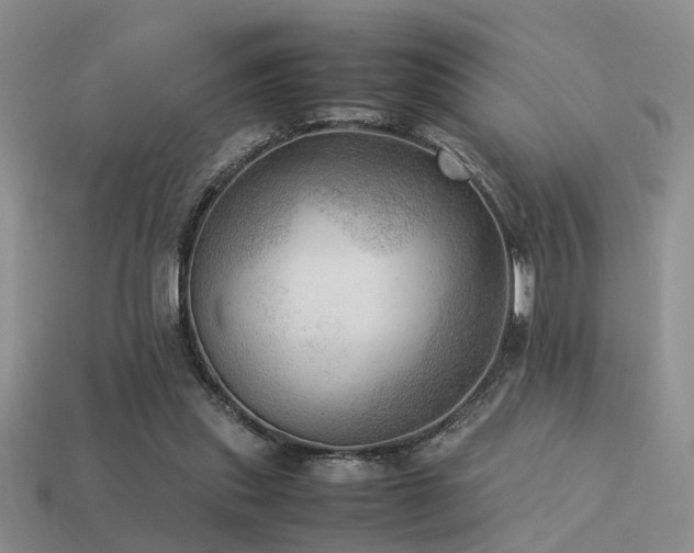 X0000113590253200909181337