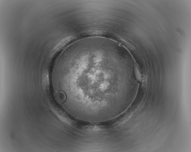 X0000113590254200909181337