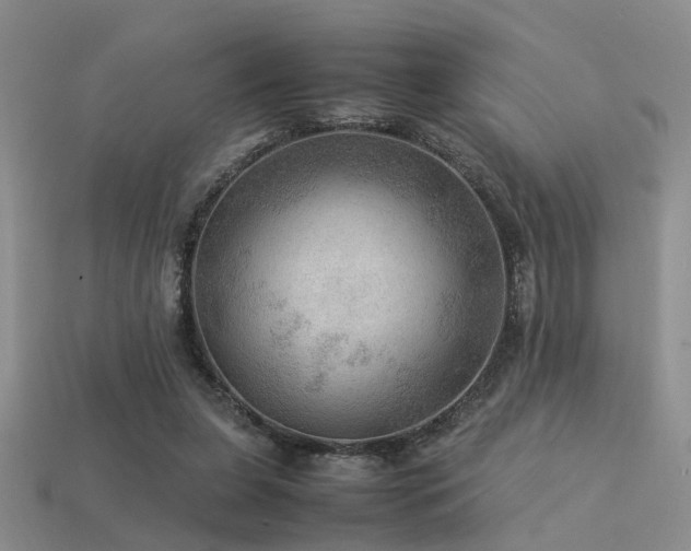 X0000113590255200909181337