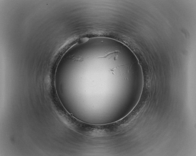 X0000113590256200909181337