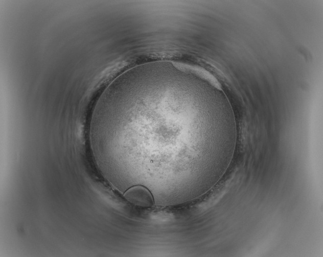 X0000113590258200909181337