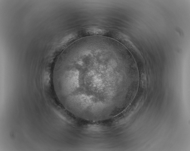 X0000113590259200909181338