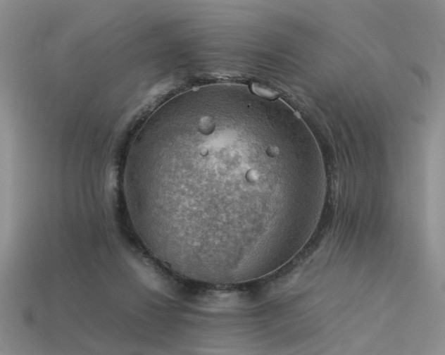 X0000113590260200909181338