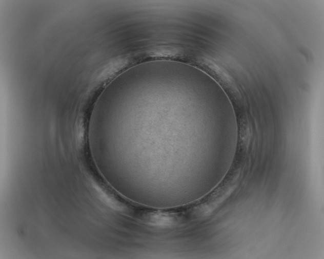 X0000113590261200909181338