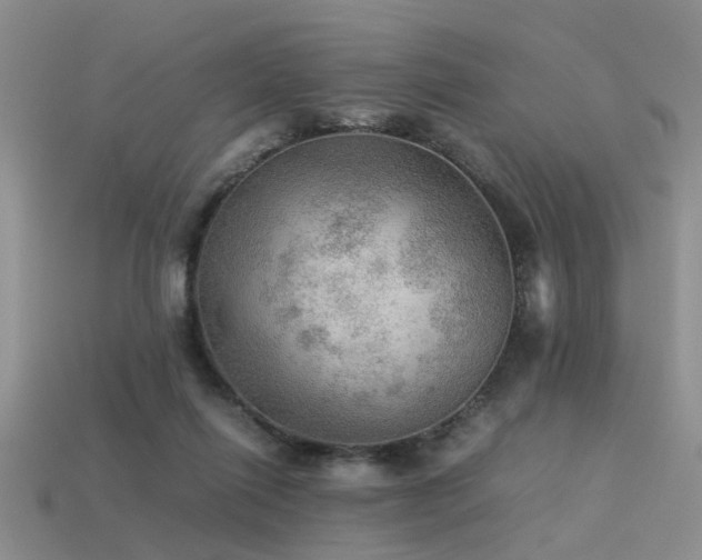 X0000113590262200909181338