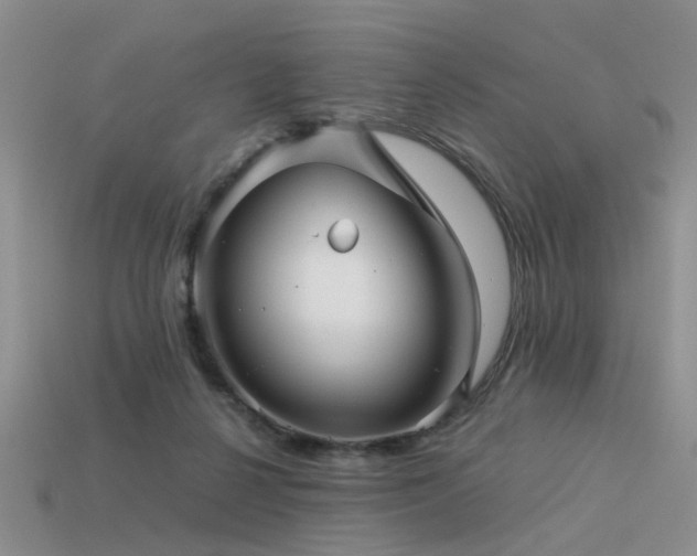 X0000113590264200909181338