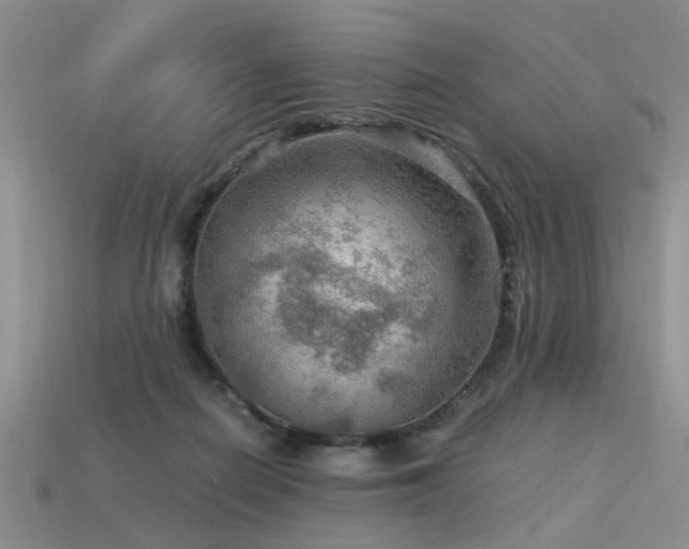 X0000113590266200909181338