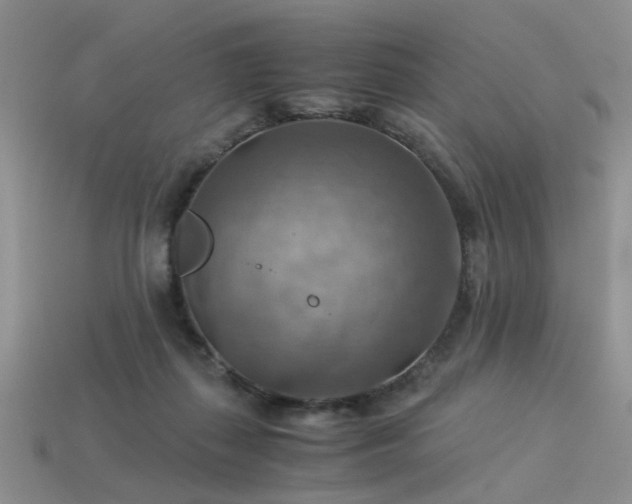 X0000113590267200909181338