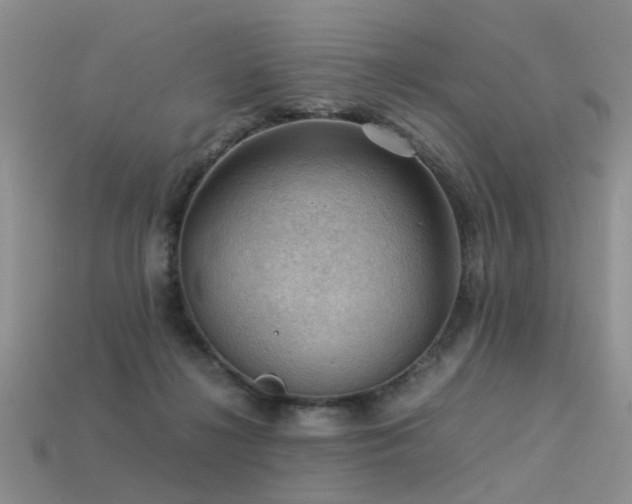 X0000113590268200909181338