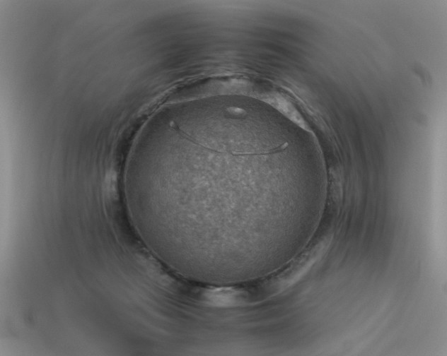 X0000113590269200909181338