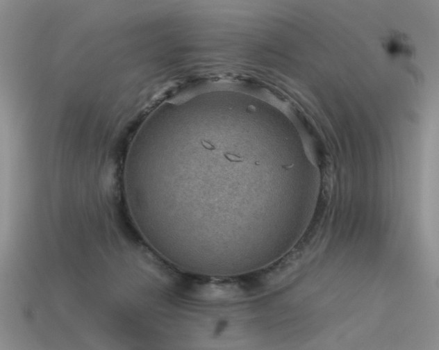 X0000113590270200909181338