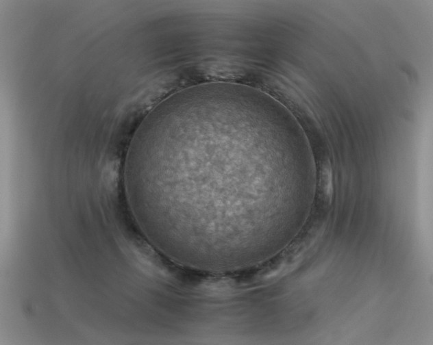 X0000113590271200909181338