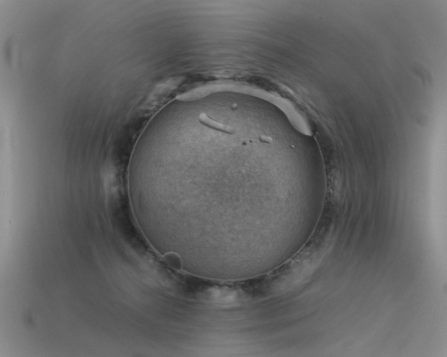 X0000113590272200909181338