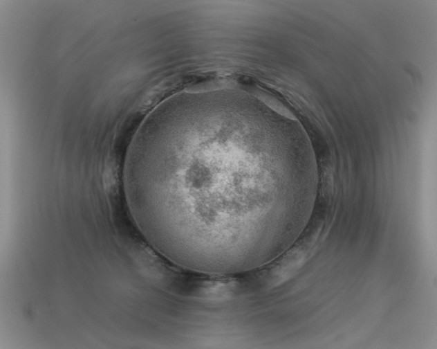 X0000113590274200909181338