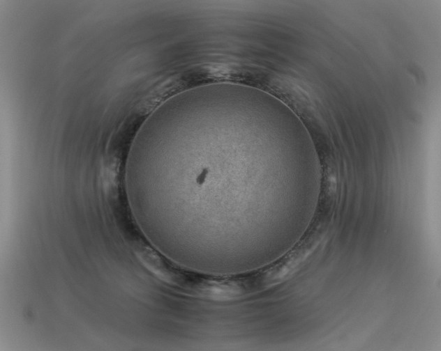 X0000113590275200909181338