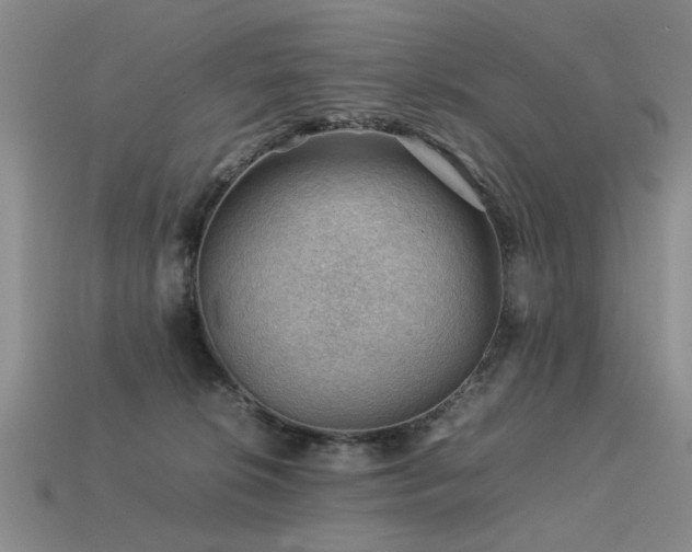 X0000113590276200909181338