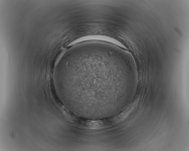 X0000113590277200909181338