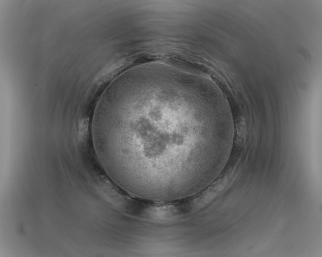 X0000113590278200909181338