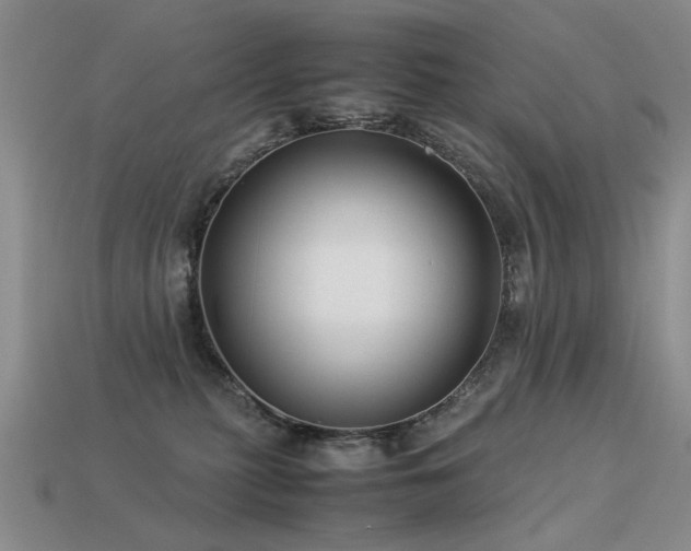 X0000113590279200909181338