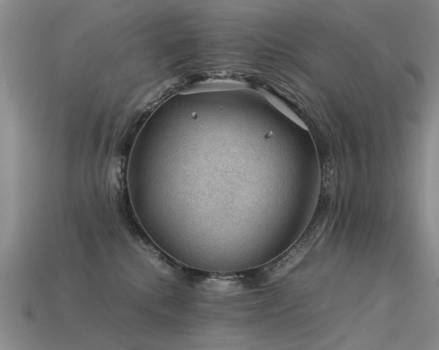 X0000113590280200909181338