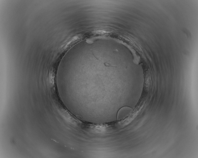 X0000113590282200909181338