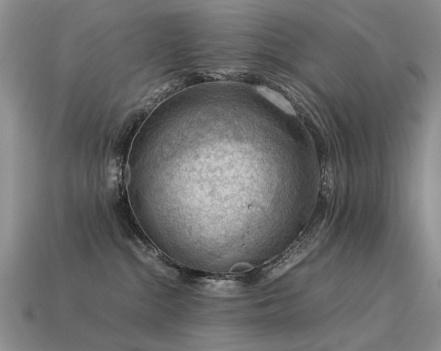 X0000113590284200909181338