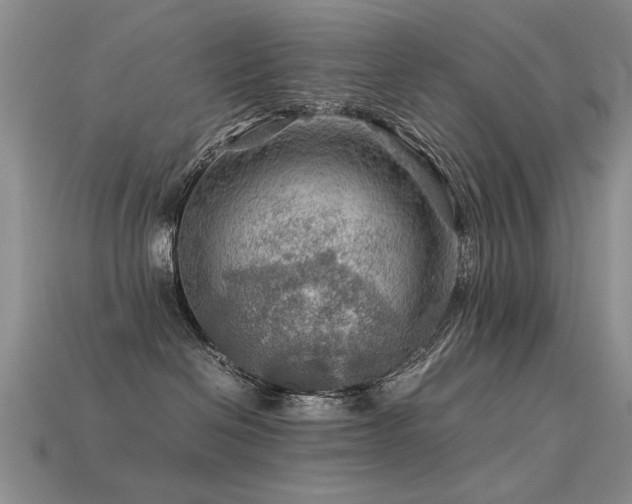 X0000113590286200909181338