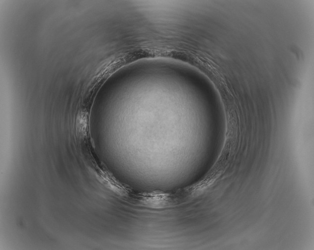 X0000113590288200909181338