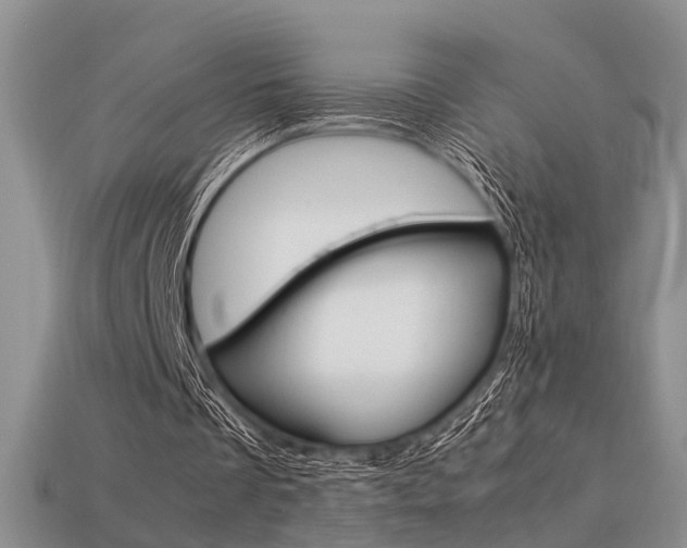 X0000113590289200909181337