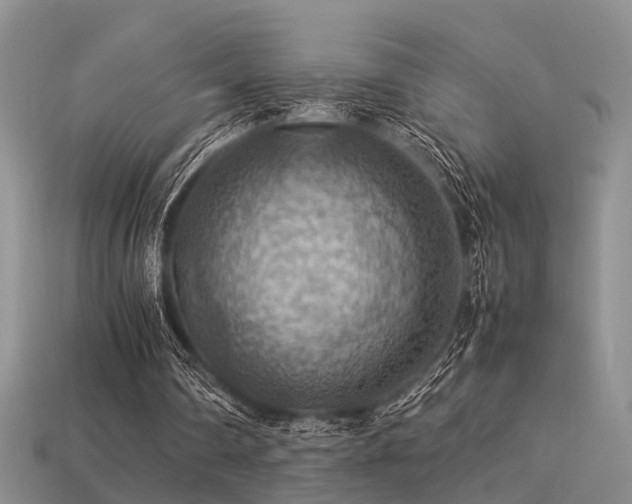 X0000113590290200909181337