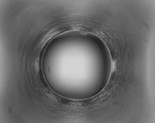 X0000113590291200909181337