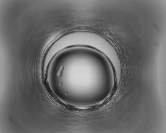 X0000113590293200909181337