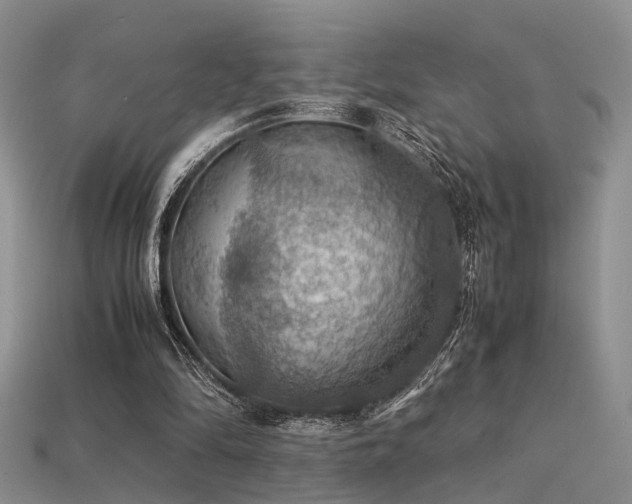 X0000113590294200909181337