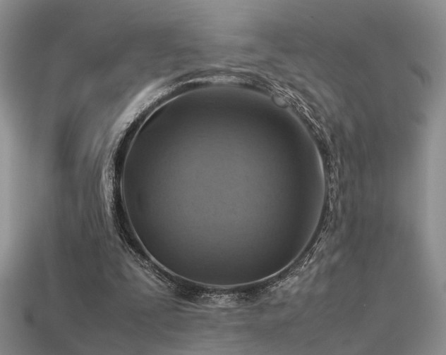 X0000113590295200909181337