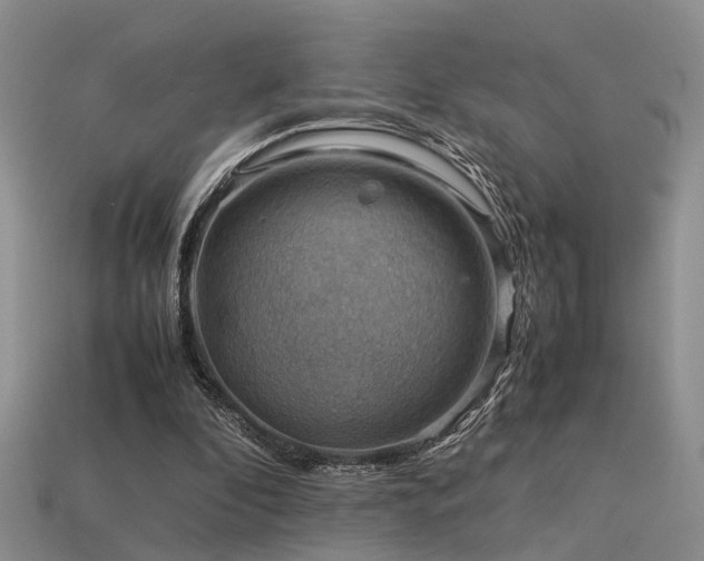 X0000113590296200909181337