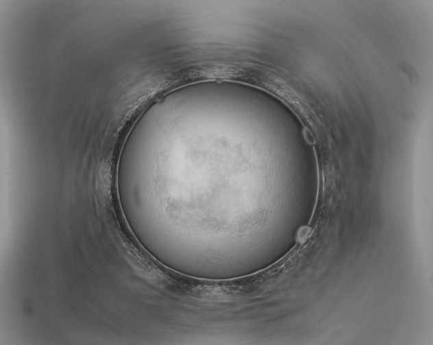 X0000113590297200909181337